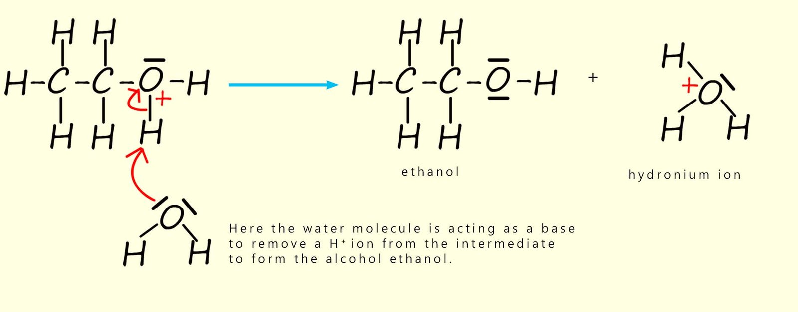 The mechanism for the hydrolysis of a halogenalkane by water.